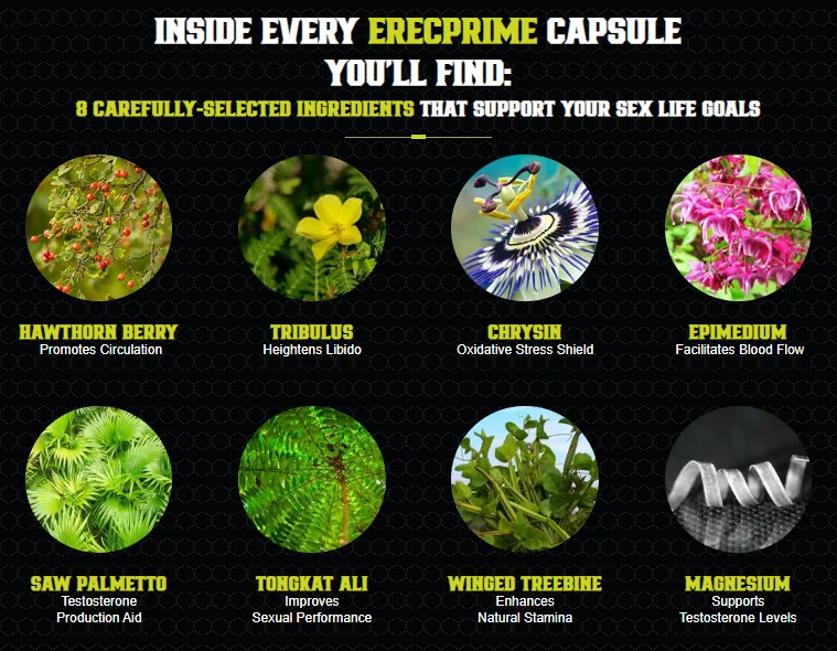 ErecPrime Ingredients